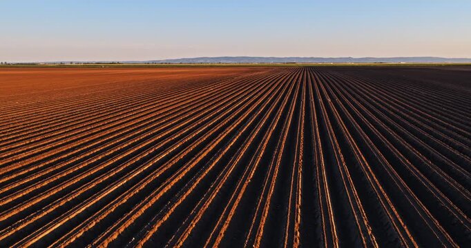 Vast plowed farmland with furrows at sunset