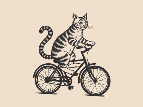 Tabby cat riding a bicycle cycling animal