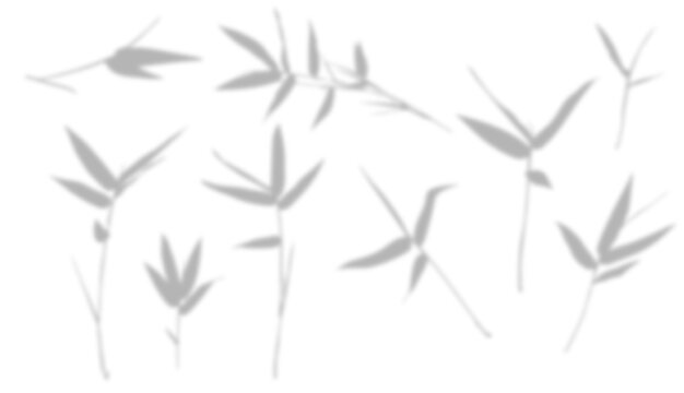 Abstract blurred grey silhouettes of bamboo leaves and branches on an isolated background. Soft, minimalist oriental design elements for Zen-themed projects and subtle overlays.