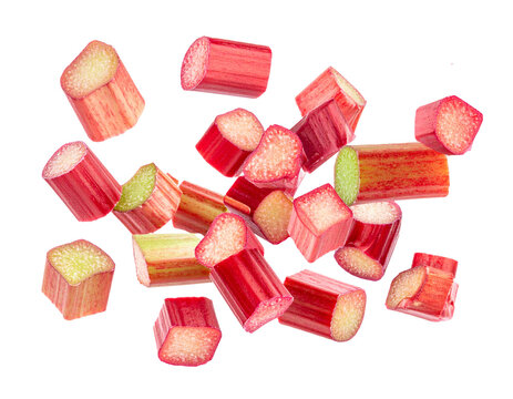 Falling fresh rhubarb stalks and pieces isolated on white background, flying red and green vegetable cutout for spring food and juice compositing