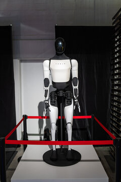 Zurich, Switzerland, October 10, 2025. Front view of a 2025 Tesla Optimus Gen 2 humanoid robot on display