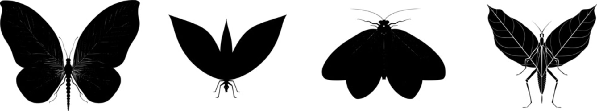 A symmetrical giant katydid with leaf-like wings in bold black on a crisp white background creates an elegant minimalist flat vector art piece