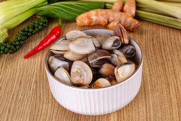 Raw fresh wild clams mollusc © Andrei Starostin