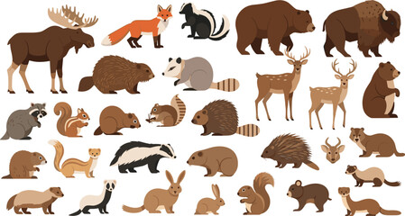 Forest Woodland Animals Vector Collection with Moose Fox Bear Bison Deer Beaver Hedgehog Raccoon Squirrel and Diverse Wildlife in Flat Style Illustration. © MstSuborna