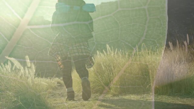 Woman hiking travel trail, boot lifting revealing pack, leaf overlay and lens flare guiding outcrop