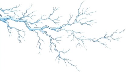 Fototapeta premium Ice-covered branches against a white background, delicate frost detail