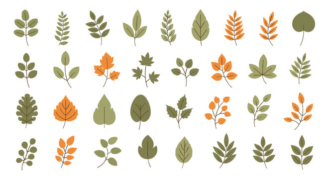 Extensive collection of various autumn leaves in different shapes and colors like green and yellow and orange with delicate dashed outlines.