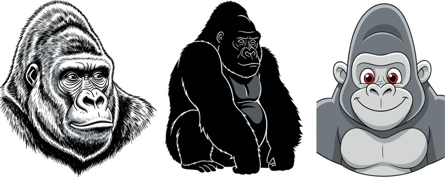 Gorilla vector set featuring realistic head, black silhouette and cartoon monkey face isolated wildlife animal illustration collection
