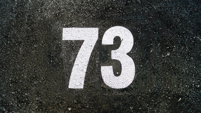 Number seventy three, 73