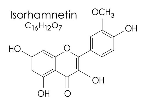 Isorhamnetin chemical formula, molecule structure on white background