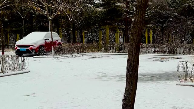 Red SUV Parked in Snow Covered Winter Landscape with Frosty Trees and Park