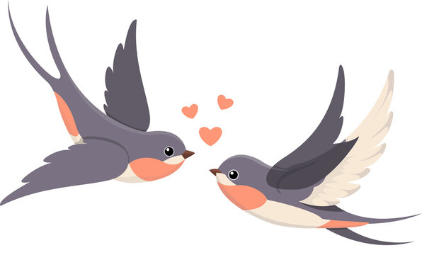 Cute Swallow Birds in Love Cartoon Illustration
