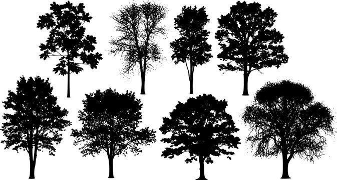 a collection of trees icons vector silhouette