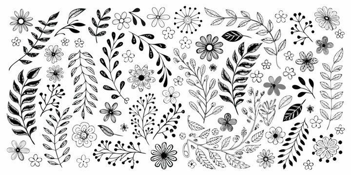 Hand drawn floral collection featuring various botanical elements in black ink