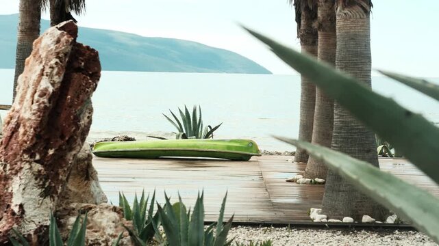 Green paddle board on wooden deck near calm sea with palm trees and agave plants. Coastal seaside scene with mountains in background, tropical waterfront outdoor setting.
