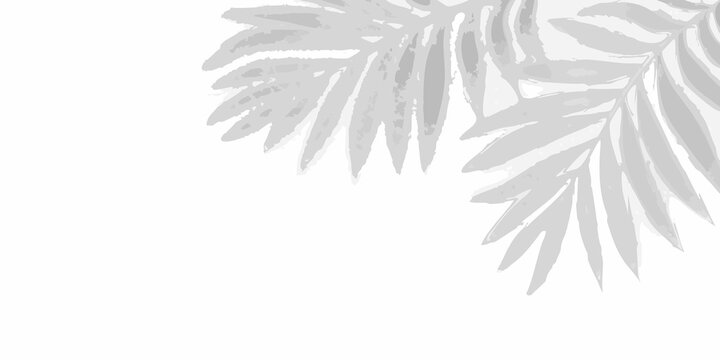Delicate palm leaves form a grayscale corner arrangement