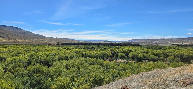 Wide green valley near Lan&iacute;n Volcano with trees and mountains in Patagonia.