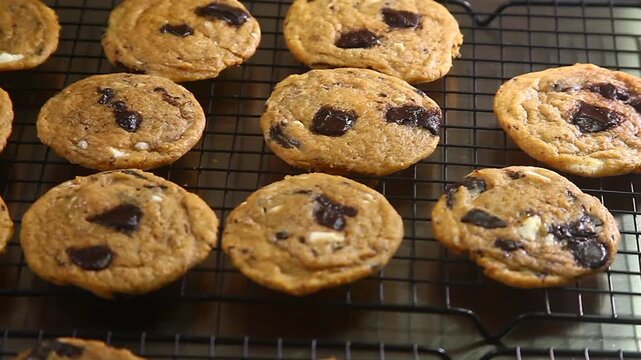 Freshly Baked Chocolate Chip Cookies