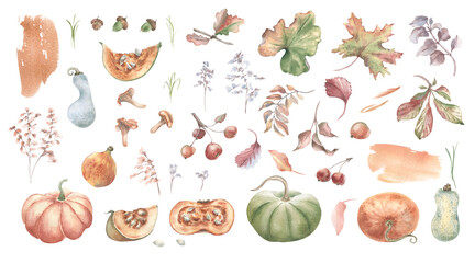 Watercolor collection of pumpkins, autumn leaves, apples, mushroom and acorn isolated. Seasonal botanical set hand drawn for fall holiday greeting card design, decorative invitation and harvest theme. © Ekaterina Lanbina
