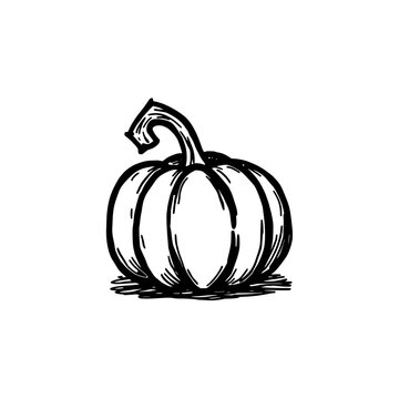 Pumpkin patch icon logo design. Autumn harvest sign and symbol. Hand drawn pumpkin patch scene icon. Thanksgiving and Halloween garden.