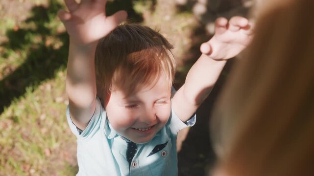 Toddler reaching up to mother in park, sunlit closeup showing boy smiling and stretching hands toward caregiver under dappled birch shade, warm summer light, grass background, candid moment of trust