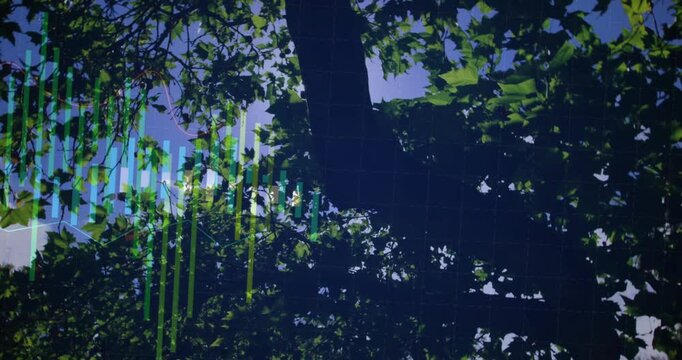 Vertical video: Sunburst appearing near trunk, leaves moving, bars sweeping left, visualizing sound
