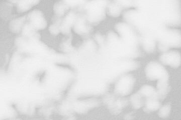 Obraz premium Leaf shadow and light grey background. Nature tropical leaves plant tree branch shade sunshine on wall. Sunlight on white wall texture for background wallpaper, shadows overlay effect foliage mockup