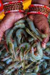bunch of tiger prawn Penaeus monodon in hand of an south asian woman from different angle © FISH
