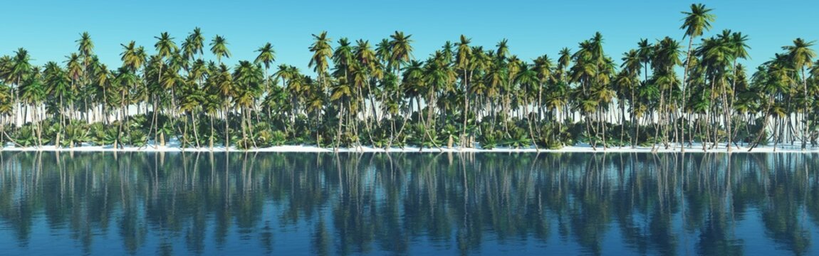 Palm trees on the beach, sea sunset and palm trees, sea and sun, 3D rendering