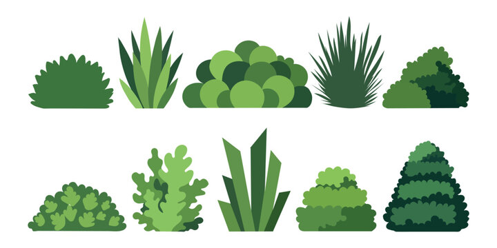 Set of various green garden bushes and shrubs
