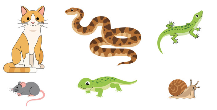 Collection of various cute cartoon animals including cat snake lizard and snail