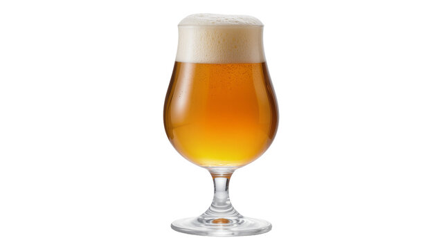 Golden amber beer with frothy head in tulip glass, isolated on transparent background
