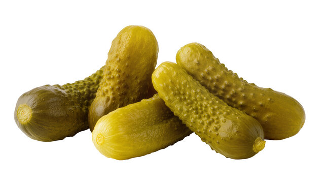 Group of bumpy gherkins pickled cucumbers, isolated on transparent background
