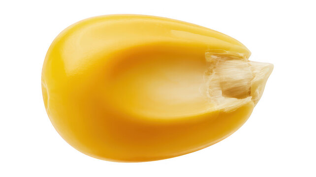 Single yellow corn kernel isolated on a transparent background, macro food isolated on a transparent background