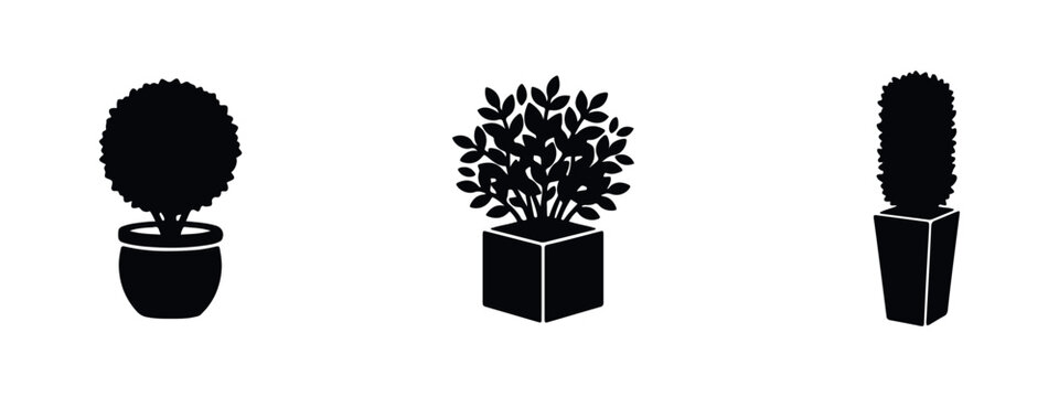 Set of minimalist black silhouette icons representing three different potted plants and topiaries for landscaping and interior design.