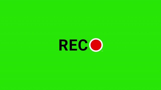 rec text camera recording icon blink animation,  interface of video recorder digital display in white and on green screen. 4K video.