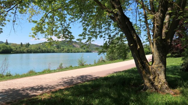 Lac du chanoine Kir, &agrave; Dijon, en C&ocirc;te d&rsquo;Or / Bourgogne, paysage de nature avec un arbre et un sentier de randonn&eacute;e / piste cyclable au bord de l&rsquo;eau, au printemps (France)