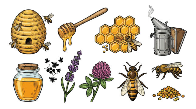 Bees and honey represented through various elements like hives, honey jars, flowers, and tools at a garden setting