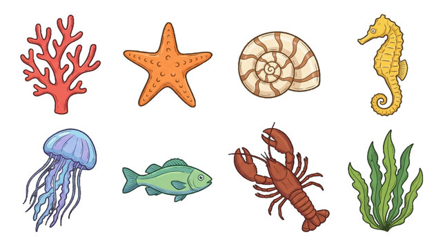 Sea life collection with coral, starfish, and various marine animals displayed on a white background