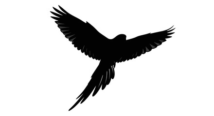 Fototapeta premium Black bird silhouette, flying eagle icon, bird in flight, wildlife symbol