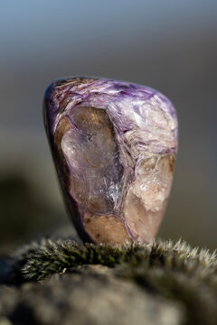 Natural charoite mineral macro purple gemstone texture
