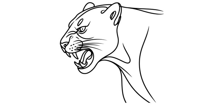 A simple black and white line drawing of a snarling panther showing its sharp canine teeth now Vector, illustration