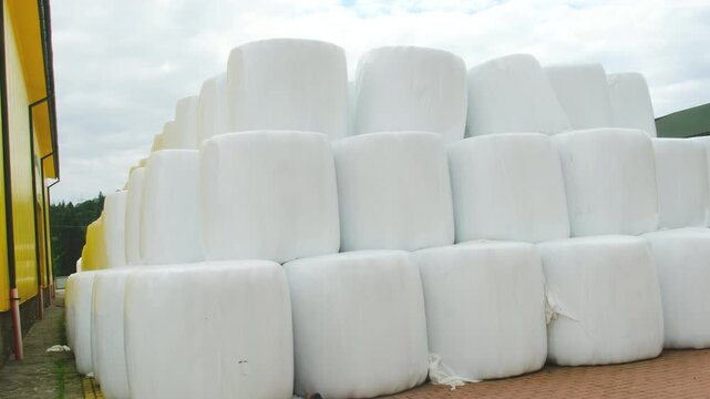 Huge plastic bales of silage arranged in stack at farm storage. Haylage supplies for livestock feeding near yellow building. Agriculture