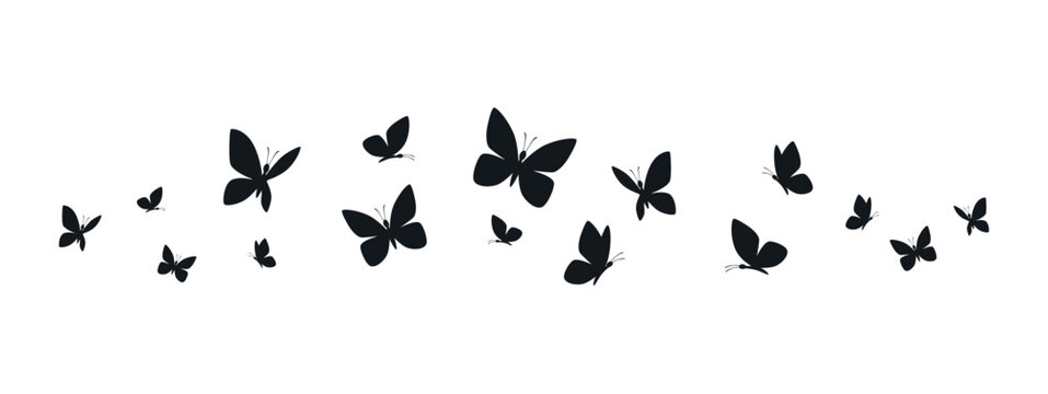 Butterflies silhouette flying on white background.