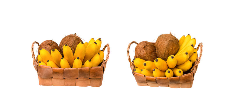 Set of ripe bananas and coconuts in a wicker basket, from different aku isolated on a white background. design element for mockups, labels, advertising