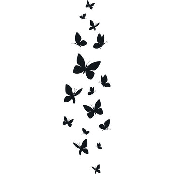Butterflies silhouette flying on white background.