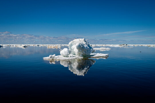 Sea ice breaking up and melting in the spring, Hudson Bay near Churchill, Manitoba, Canada. June, 2024. 