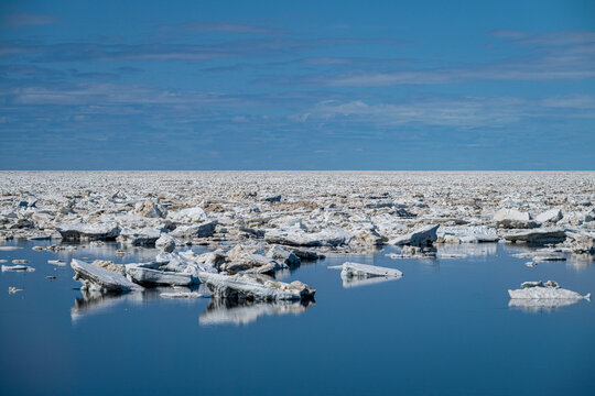 Sea ice breaking up and melting in the spring, Hudson Bay near Churchill, Manitoba, Canada. June, 2024. 