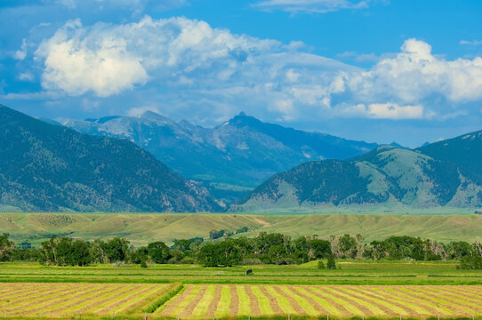 Farms and ranches against backdrop of mountain ranges in sunny Montana, USA