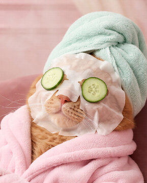 Cute ginger cat enjoying a self-care spa day with a sheet mask in a pink bathroom.